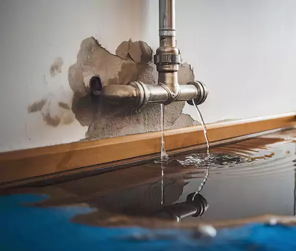 Professional Water Damage Restoration Experts in Plantation, FL — Fast, Reliable & Certified